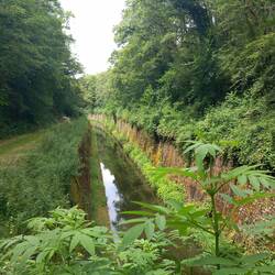 Le canal est creusé très profond.