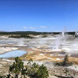 Norris Geyser Basin