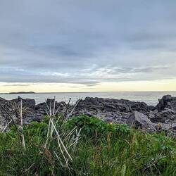 Blick auf die Barentsee