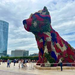 The Koons puppy made of live flowers