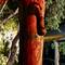 Hilarious penis tree