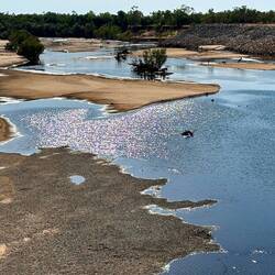 The mighty Fitzroy River