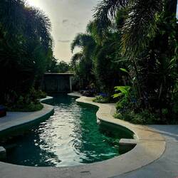 Die schöne Außenanlage mit Pool