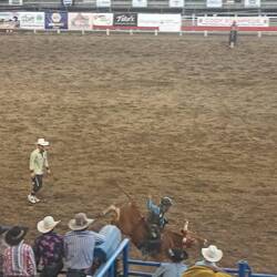 Petit enfant de 6 ans