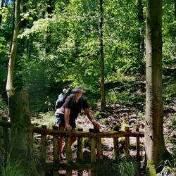 The old man and..... the forest!
