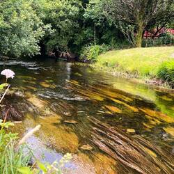Same stream looking the other way, why not.