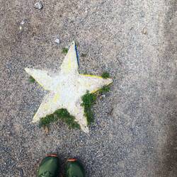 Unser Stern auf dem Walk of Fame