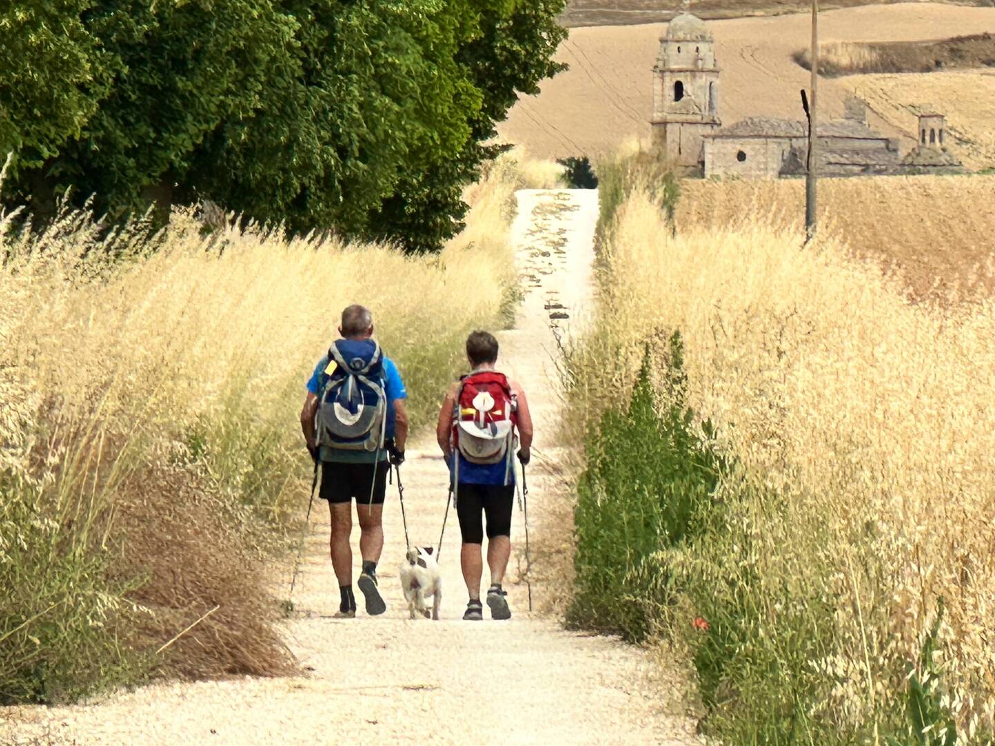 These two were blocking poor Camino Perro. He couldn't get by! 😆