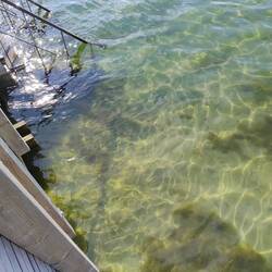 Kaltes. Klares. Wasser.