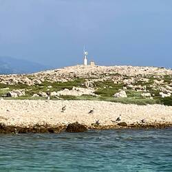 ...begleitet von den Möwen, die diese Insel bewohnen.