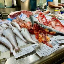 The area is known for great seafood.