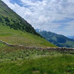 Nicht die Chinesische Mauer sondern die Kantons- und Sprachgrenze auf dem Col de Jable