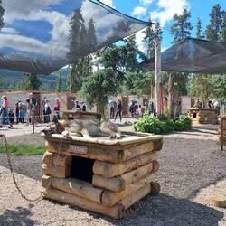 Sled Dog Kennels