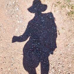 Schattenspender sind heute selten. Zu Mittag wird einem das schnell bewusst.