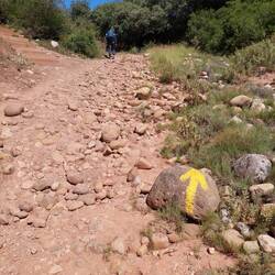 Bergauf gehts zwischendurch natürlich auch.