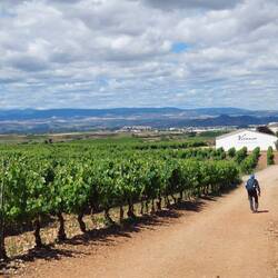 La Rioja - dass hier viel Wein produziert wird, merkt man.