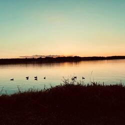 Sunset I 🌅