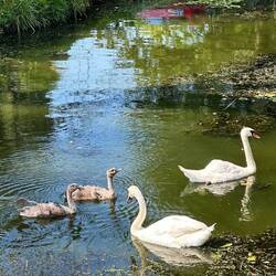 Familienausflug