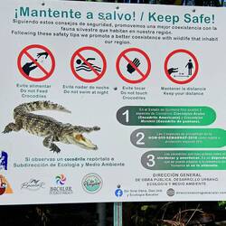 Ui, zum Glück ist mir keines untergekommen