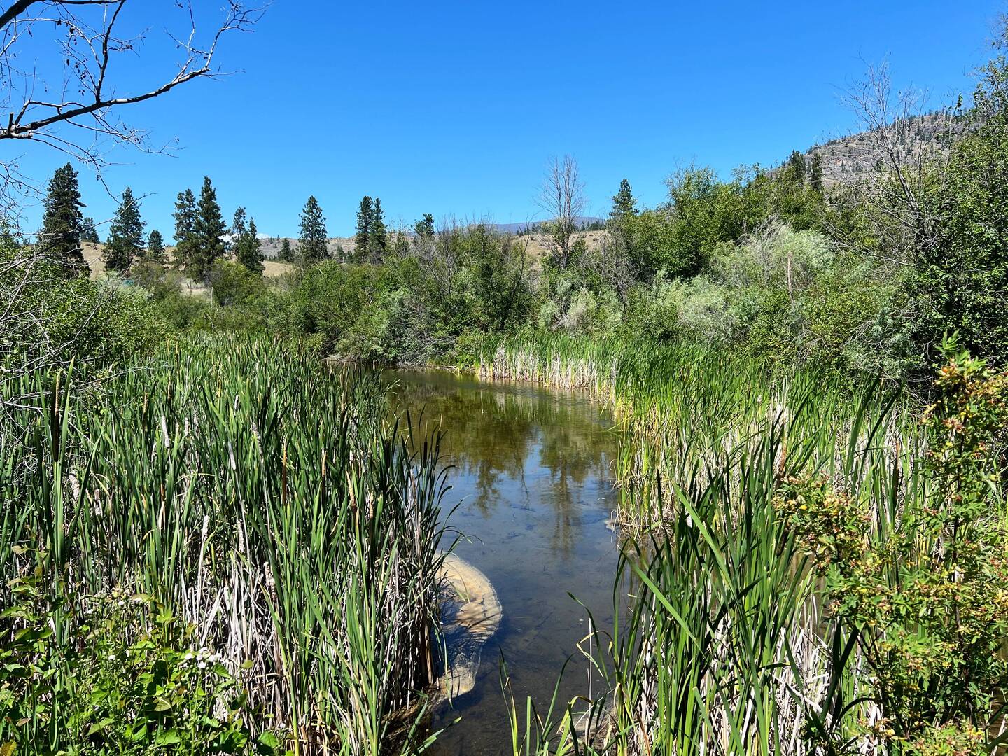Vaseaux Lake