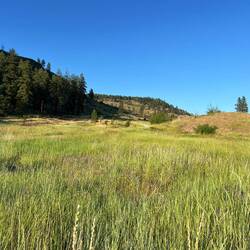 View from my Campspot!