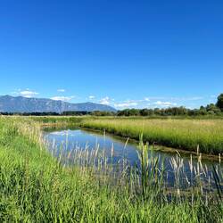 Columbia Wetlands in Creston