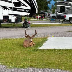 Campers at Waterton