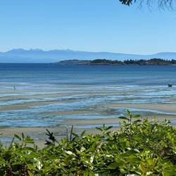 Blick aus dem Zimmer bei Ebbe