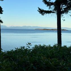 Blick aus dem Zimmer bei Flut