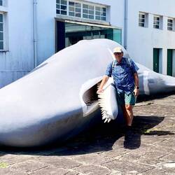 Besuch des Walfangmuseums