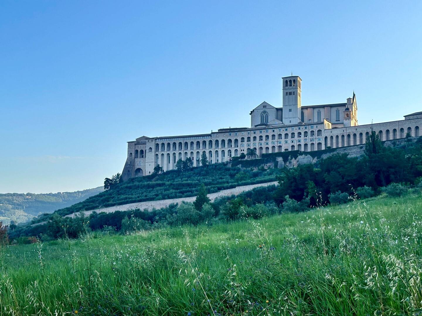 View of the Basilica di San Francesca d'Assisi