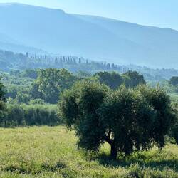 Not sure why it was so hazy