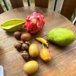 Fruit tasting!😍