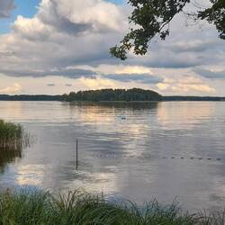 Grosser Rheinsbergsee mit Remus-Insel