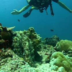 Ein bisschen Knutschen muss erlaubt sein