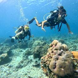 Jetzt klappen auch die Handzeichen