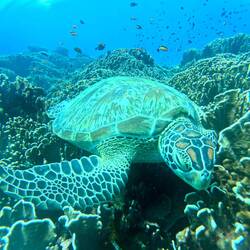 Bitte recht freundlich