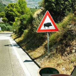 Wir hatten zum Glück keine Begegnungen.