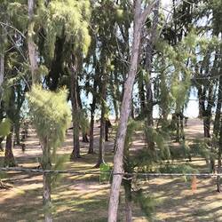 Blick vom Balkon aus