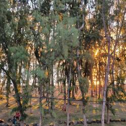 So sieht es aus, wenn die Sonne untergeht