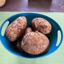 frische litauische Kartoffeln...