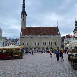 Das Rathaus