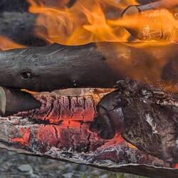 Ein Tierwesen im Feuer