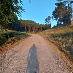 Der Schatten ist lang, der Weg ist länger.