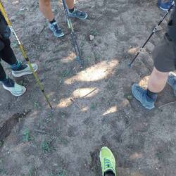 Spontanes Pilgertreffen unter einem schattigen Baum.