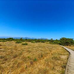 Weg zum Strand