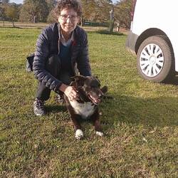 'Watto' Aloomba Lavender Farm