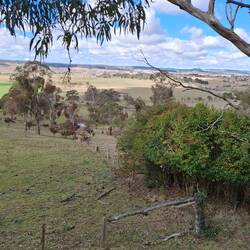 Glen Innes 1000m