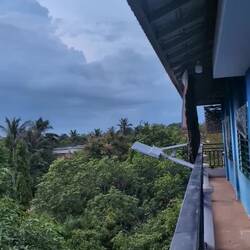 School surrounded by trees