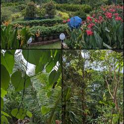 Botanical gardens